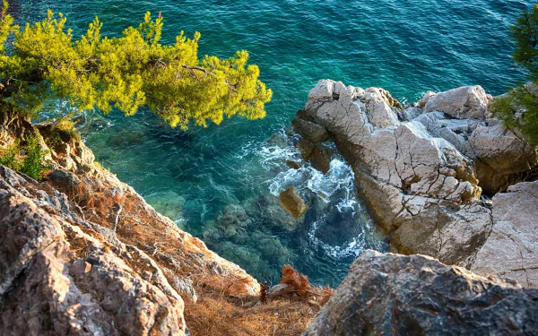 Nature coastline 2K Quad HD PC desktop wallpaper and background: sunlit pine over rugged cliffs dropping to turquoise sea with swirling waves.