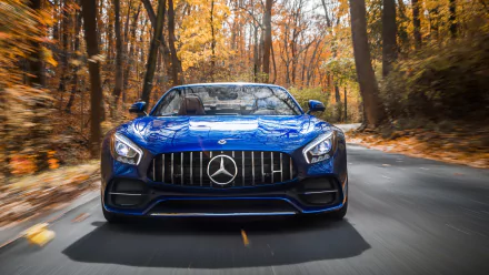 Front view of a blue Mercedes-AMG GT C driving through an autumn forest, captured in 4K Ultra HD as a high-resolution PC desktop wallpaper.
