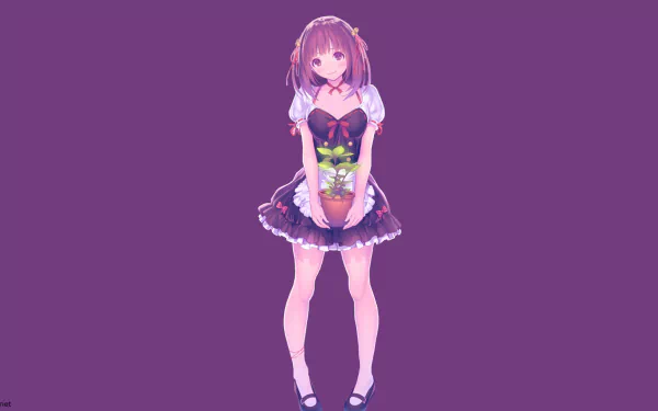 Original anime HD PC desktop wallpaper: a purple‑haired girl in a frilly skirted dress holding a small potted plant, standing centered against a solid purple background.