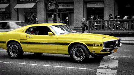 yellow car Ford Mustang Black & White vehicle Ford Mustang GT350 HD Desktop Wallpaper | Background Image