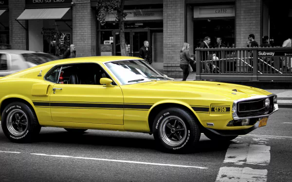 yellow car Ford Mustang Black & White vehicle Ford Mustang GT350 HD Desktop Wallpaper | Background Image