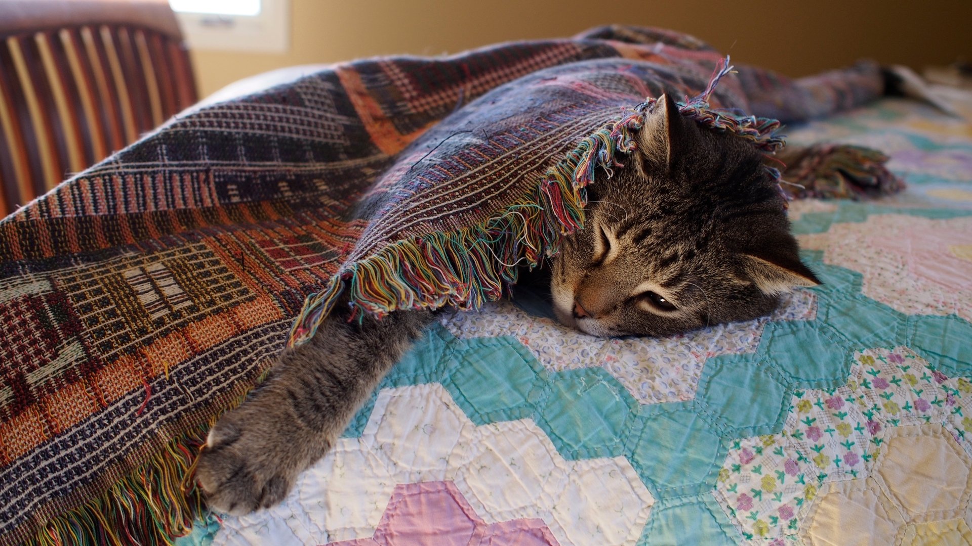 A sleeping cat partially covered by a colorful woven blanket rests on a quilted bedspread, captured in a 4K Ultra HD PC desktop wallpaper.