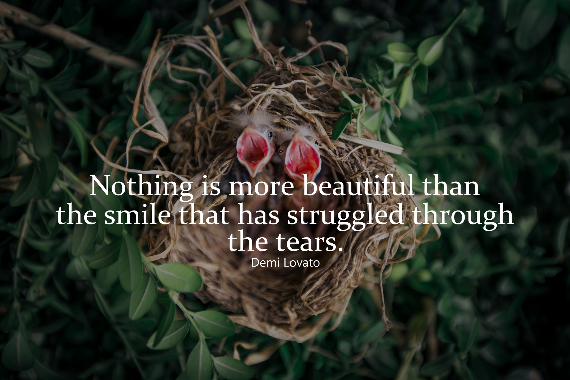 “Nothing is more beautiful than the smile that has struggled through the tears.” — Demi Lovato