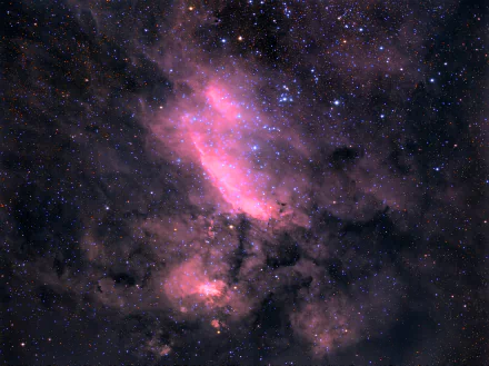  The Big Prawn (Nebula) IC 4628, located in the Sagittarius Arm of the Milky Way by Dylan O’Donnell