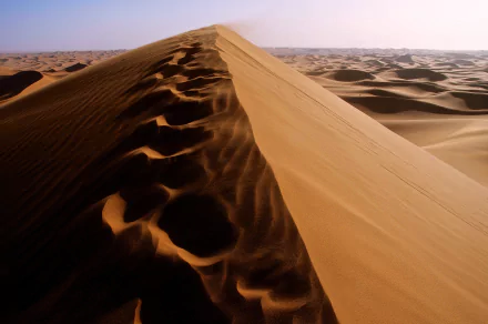 Footprints cross a towering sand dune in the Sahara, Algeria — golden sand ridgeline and sweeping desert shadows. 4K Ultra HD PC desktop wallpaper of African nature.