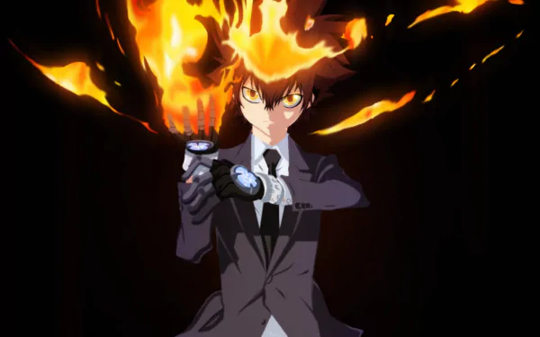 Tsunayoshi Sawada Anime Katekyō Hitman Reborn! HD Desktop Wallpaper | Background Image