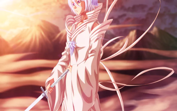 bankai Rukia Kuchiki Anime Bleach HD Desktop Wallpaper | Background Image