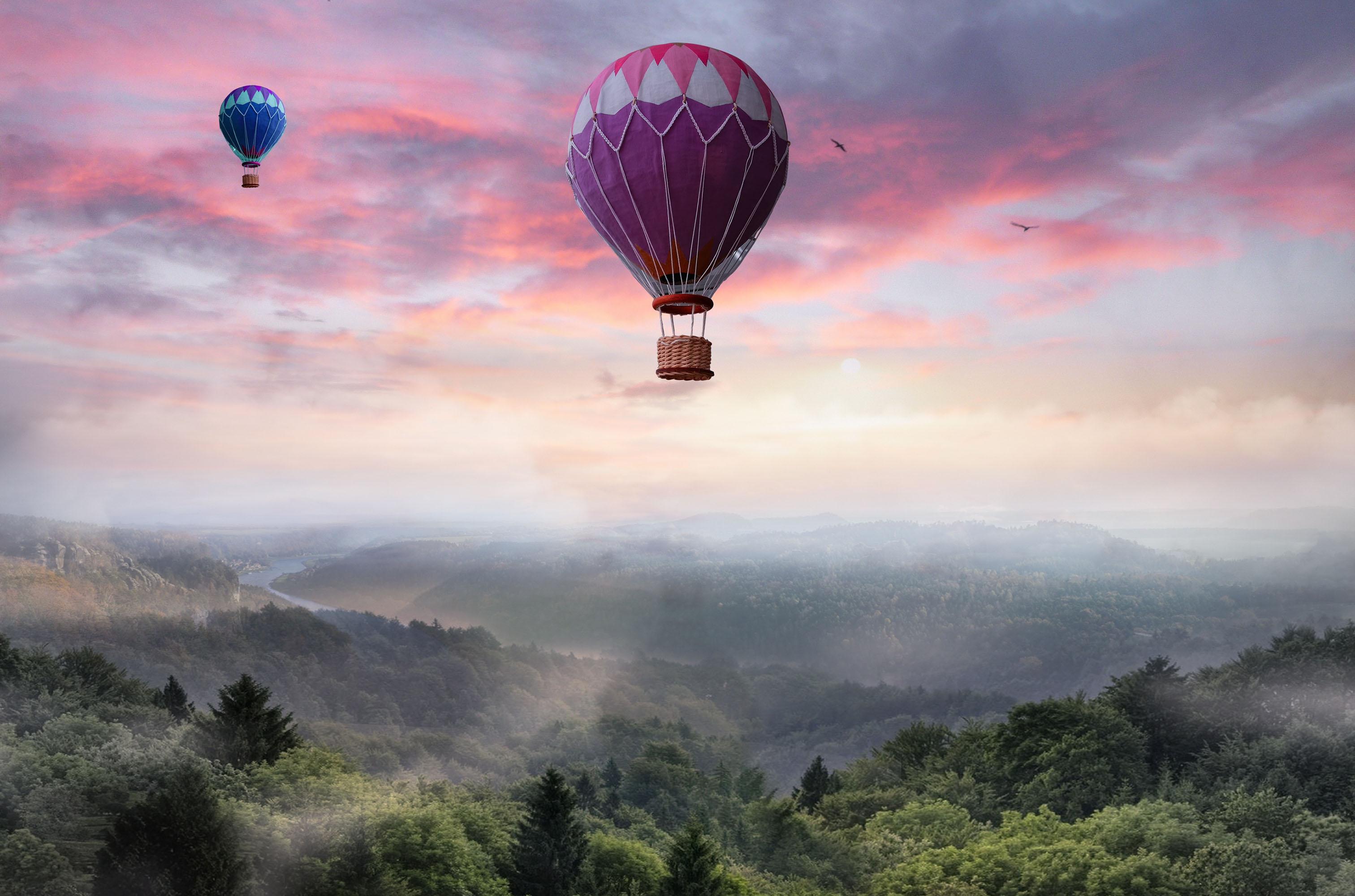 Hot Air Balloons Hd Wallpaper Background Image 3024x00 Id Wallpaper Abyss