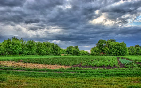 garden nature landscape HD Desktop Wallpaper | Background Image