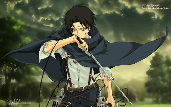 Anime Attack On Titan Levi Ackerman Black Hair Sword Weapon HD Wallpaper | Background Image