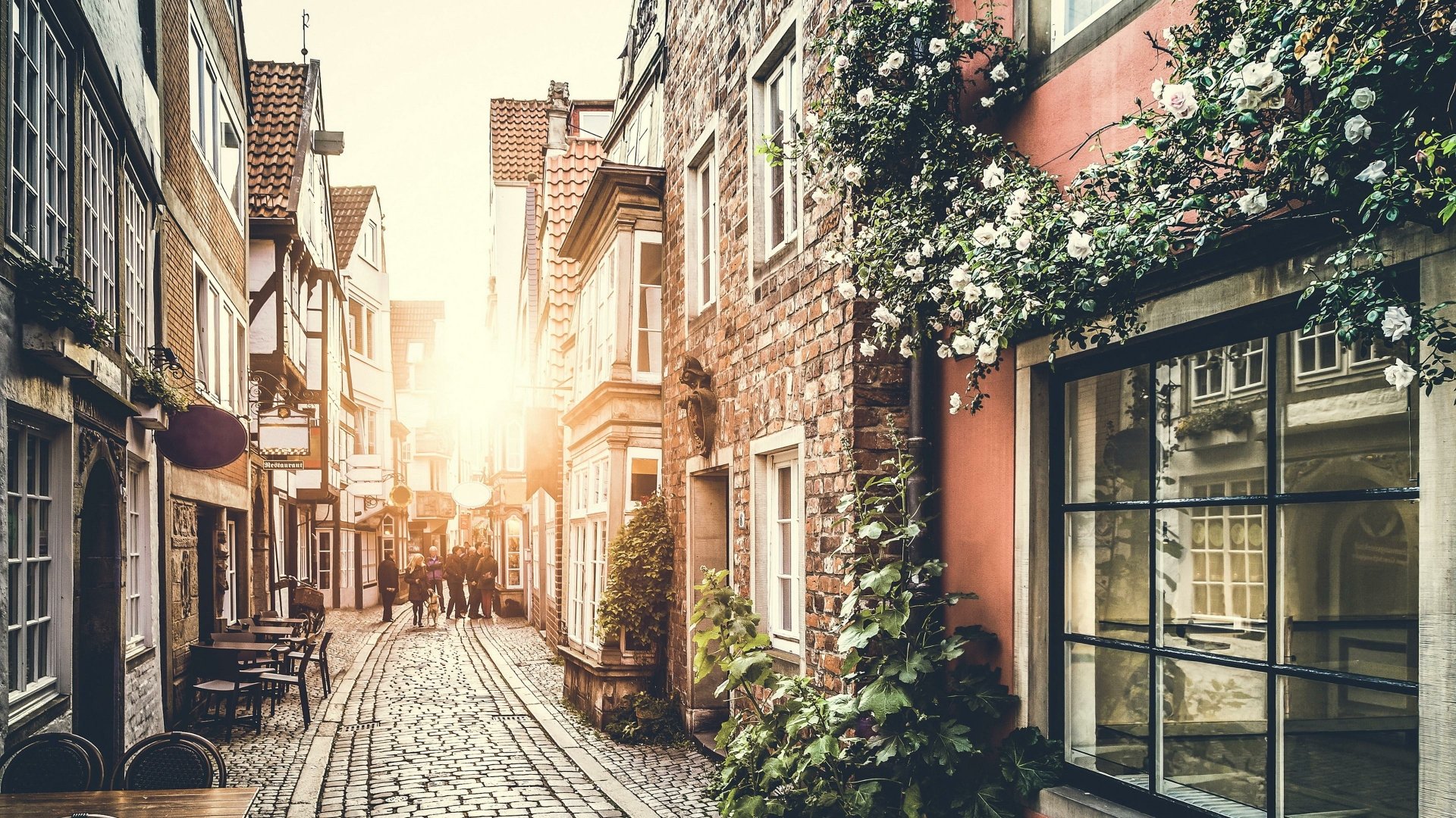 Download Paris Man Made Street 4k Ultra HD Wallpaper