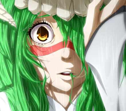 HD anime wallpaper featuring Nelliel Tu Odelschwanck from Bleach with vivid green hair and striking amber eyes in a close-up portrait style.