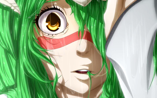 Nelliel Tu Odelschwanck Anime Bleach HD Desktop Wallpaper | Background Image