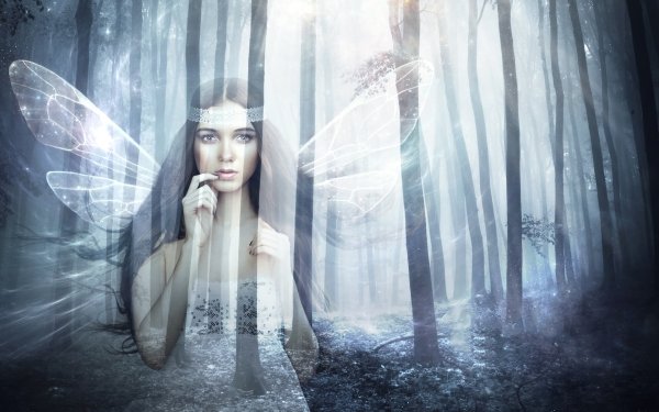 Fantasy Fairy Wings Forest HD Wallpaper | Background Image