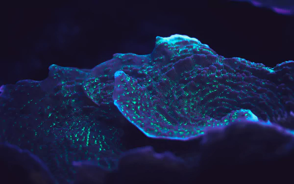 5K Ultra HD PC desktop wallpaper: close-up of a glowing coral animal in deep blue and teal, rippled textures and bioluminescent speckles.