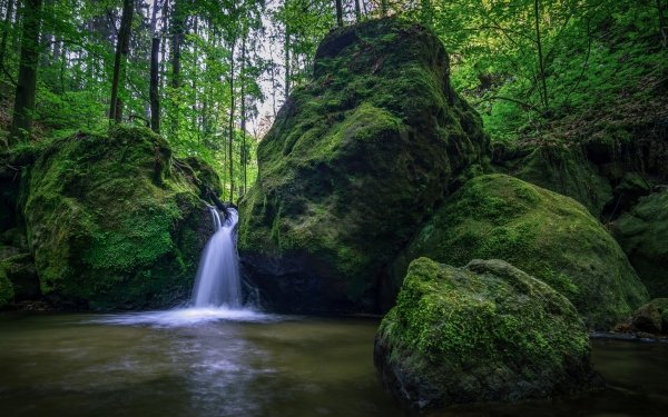 Nature Waterfall Waterfalls Stream Moss Greenery HD Wallpaper | Background Image