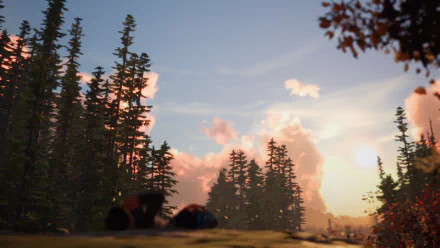 HD PC desktop wallpaper from the video game Life Is Strange 2: two figures rest in a pine forest clearing at sunset beneath dramatic clouds.