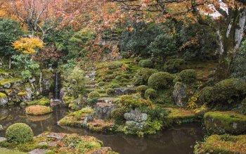 10 日本庭园高清壁纸 桌面背景