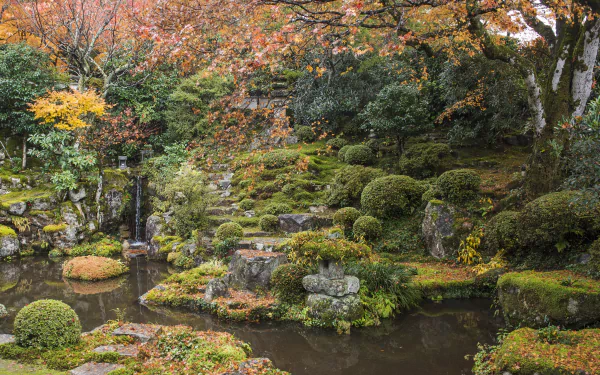 japanese garden nature fall man made garden HD Desktop Wallpaper | Background Image