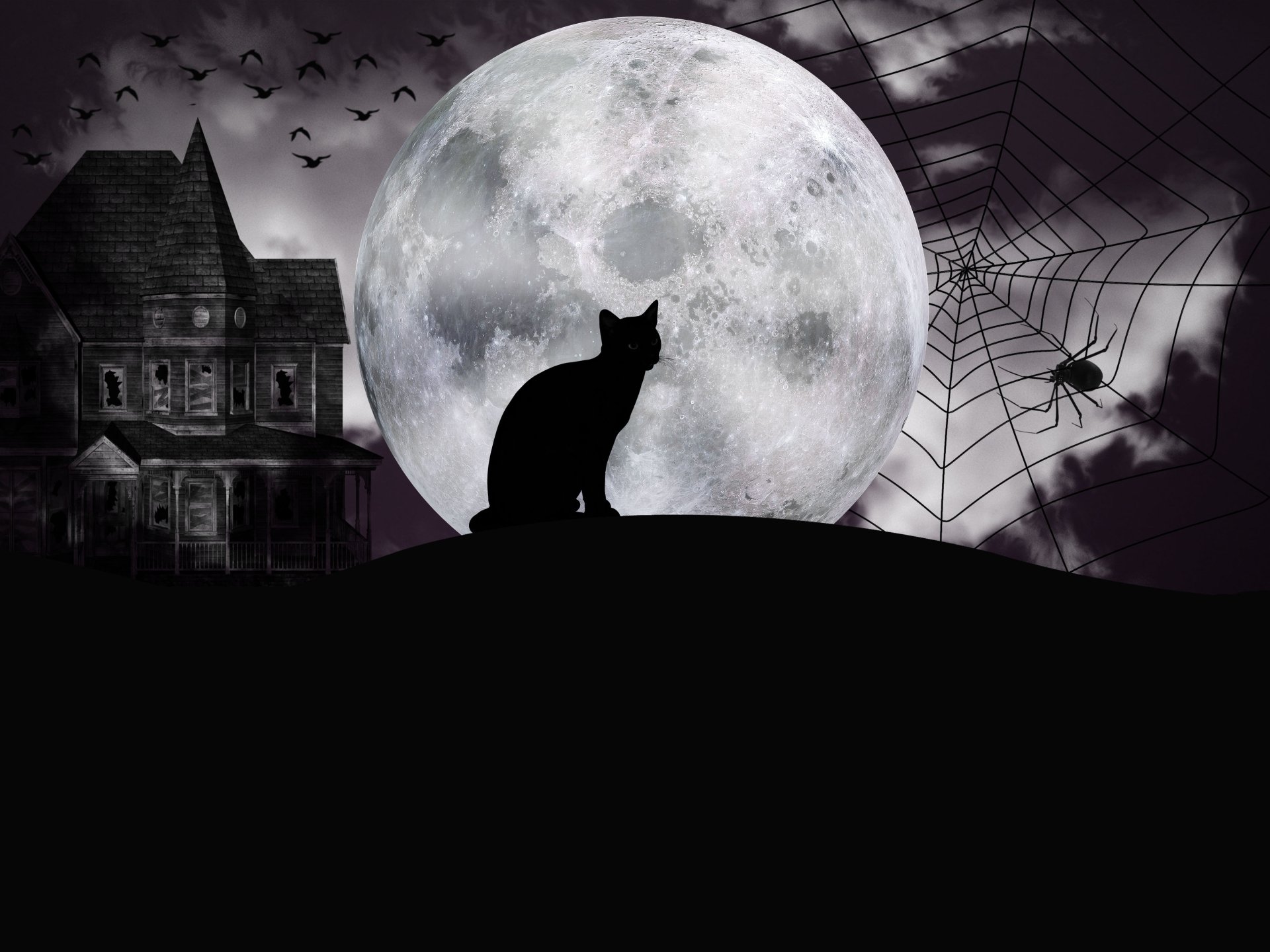 4K Ultra HD Halloween wallpaper featuring a dark house, a spider on its web, a full moon, bats, and a silhouette of a cat against a spooky night sky.