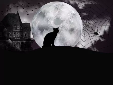 4K Ultra HD Halloween wallpaper featuring a dark house, a spider on its web, a full moon, bats, and a silhouette of a cat against a spooky night sky.