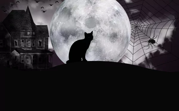 4K Ultra HD Halloween wallpaper featuring a dark house, a spider on its web, a full moon, bats, and a silhouette of a cat against a spooky night sky.