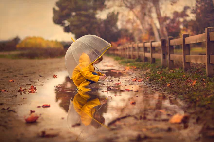 A little girl in a yellow raincoat crouches under a transparent umbrella, reflected in a puddle on a dirt path. The scene is set on a rainy day, with autumn leaves scattered around, captured in a HD photograph.