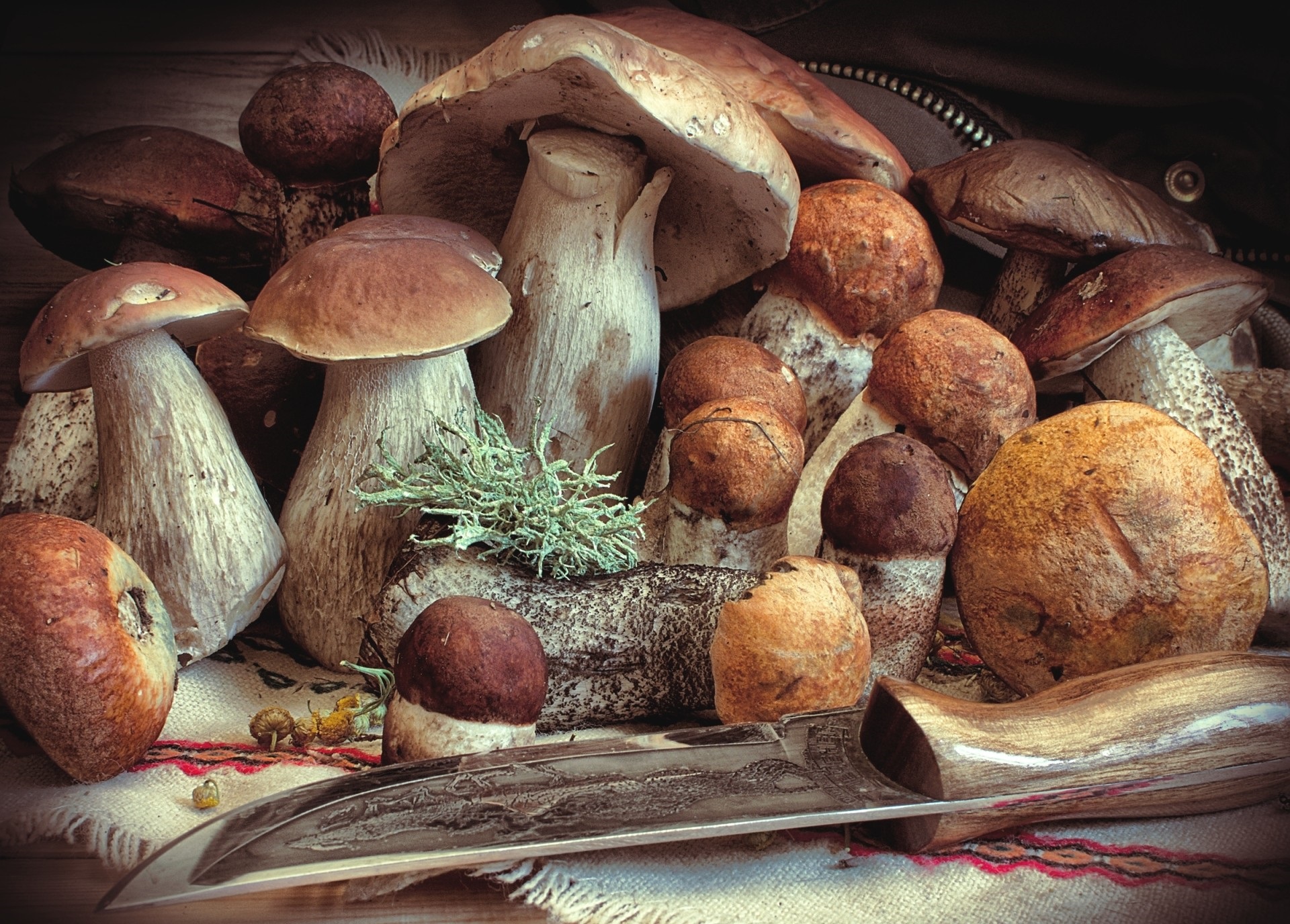 Food Mushroom HD Wallpaper | Background Image