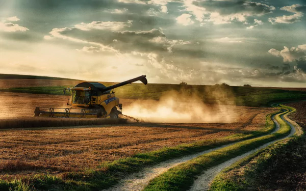 summer field vehicle harvester HD Desktop Wallpaper | Background Image