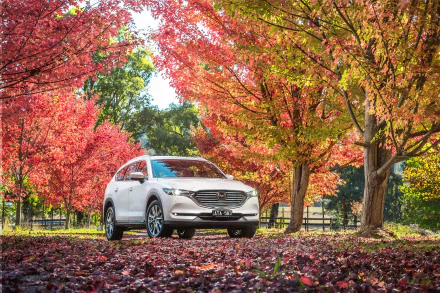 Mazda vehicle Mazda CX-8 HD Desktop Wallpaper | Background Image