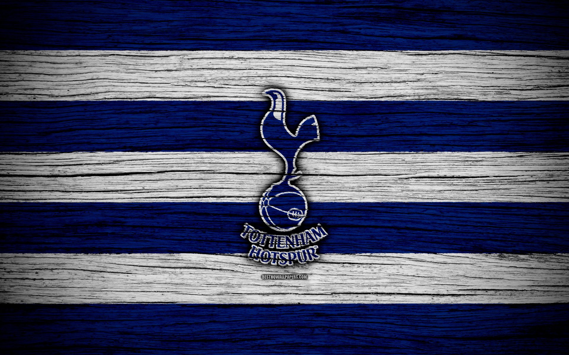 Tottenham Logo 4k Ultra HD Wallpaper | Background Image ...