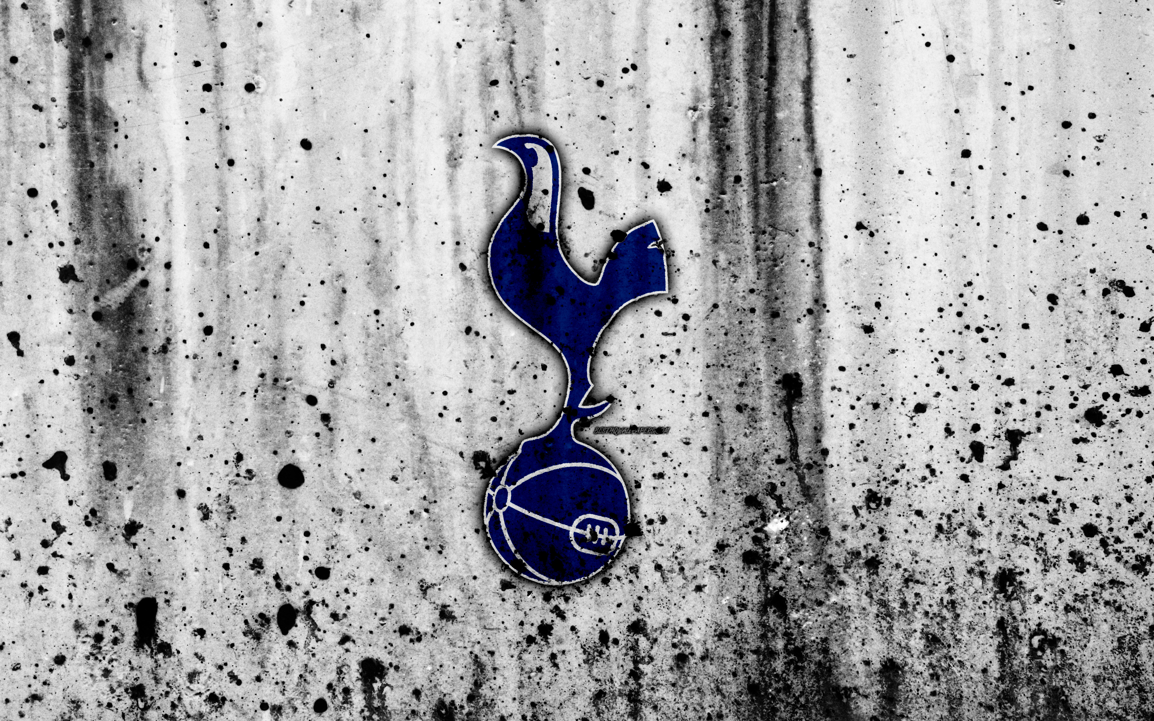 Sports Tottenham Hotspur F.C. HD Wallpaper | Background Image
