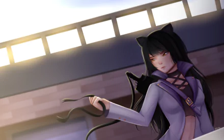 Blake Belladonna Anime RWBY HD Desktop Wallpaper | Background Image