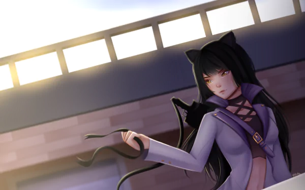 Blake Belladonna Anime RWBY HD Desktop Wallpaper | Background Image