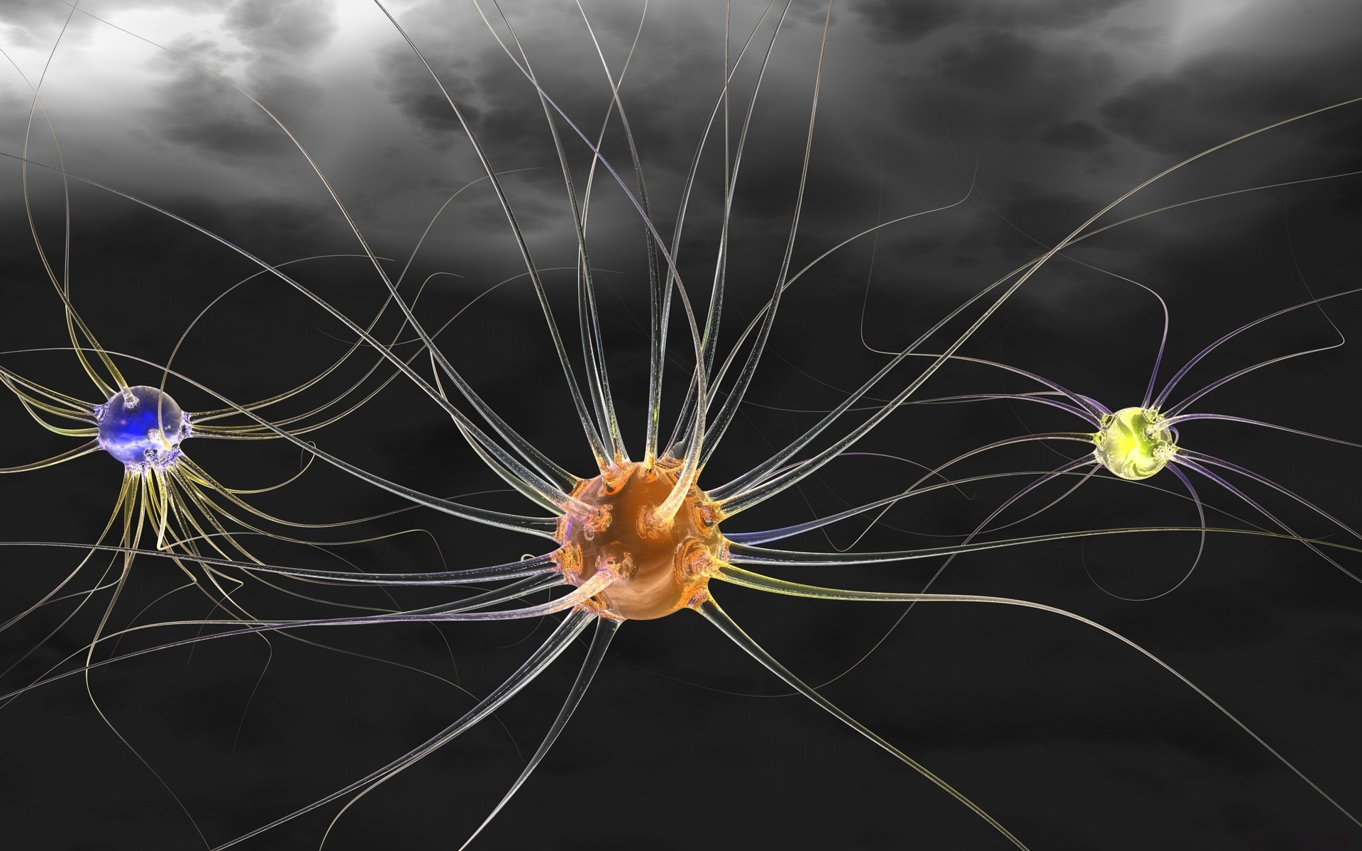 Artistic Neuron HD Wallpaper | Background Image | 1920x1200