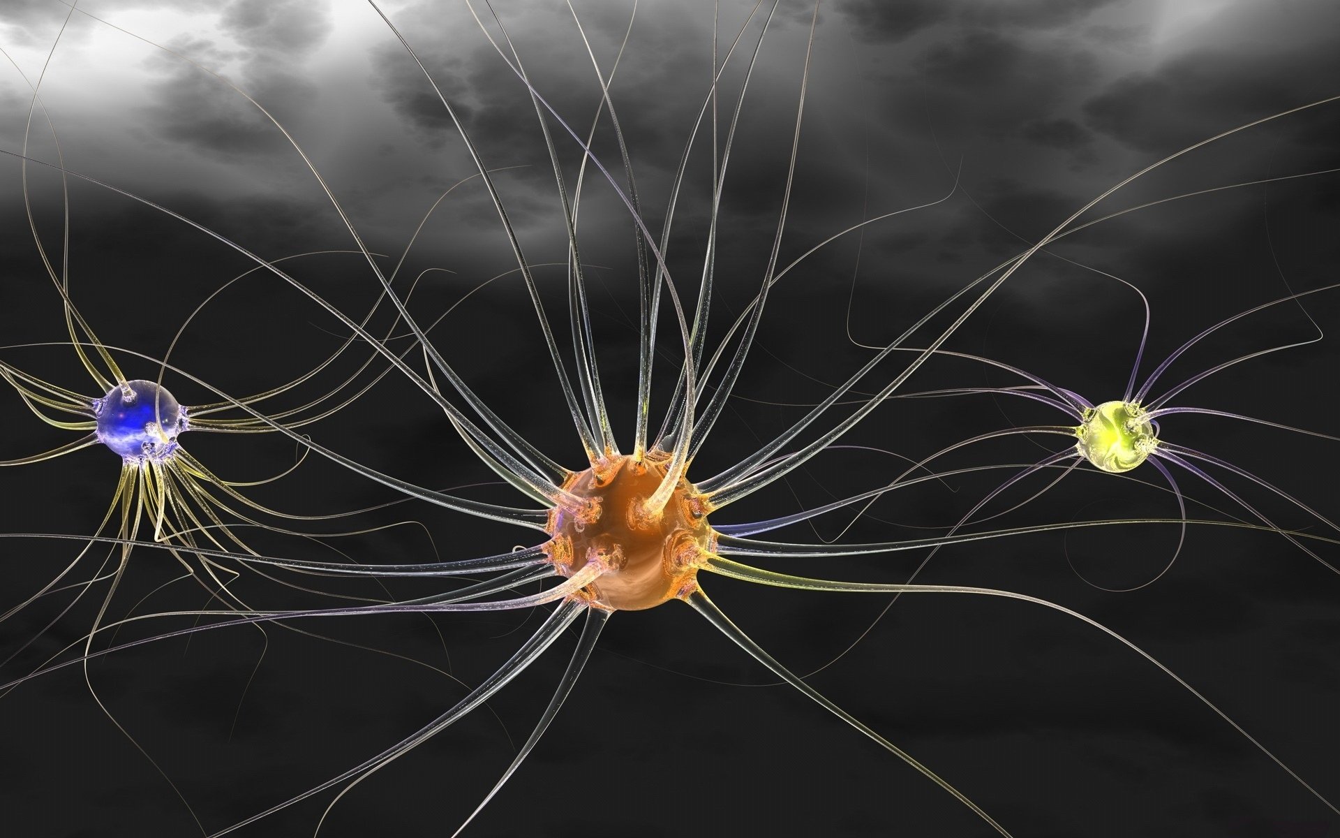 Download Artistic Neuron HD Wallpaper