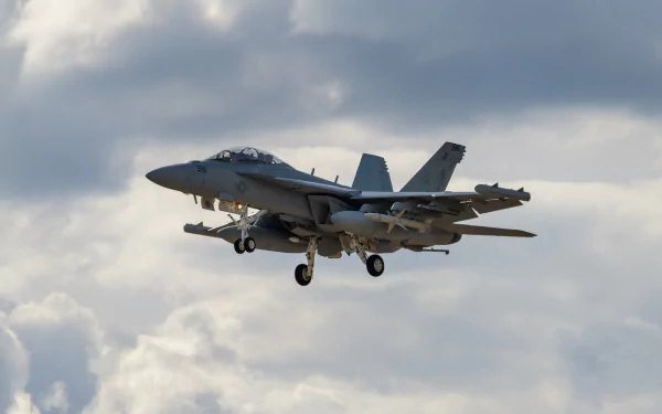 warplane aircraft jet fighter military Boeing EA-18G Growler HD Desktop Wallpaper | Background Image
