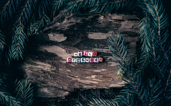  December