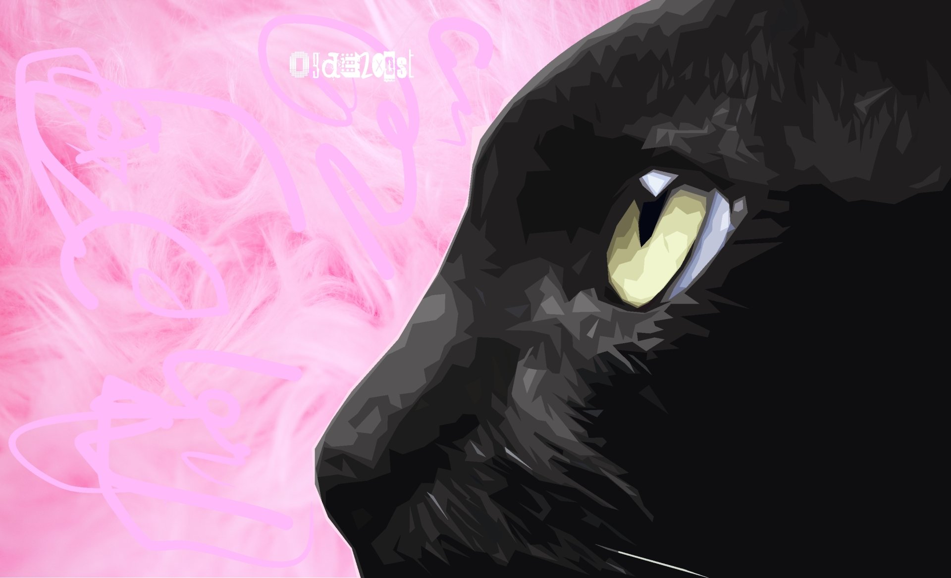 Big Cat HD Wallpaper | Background Image | 2945x1790