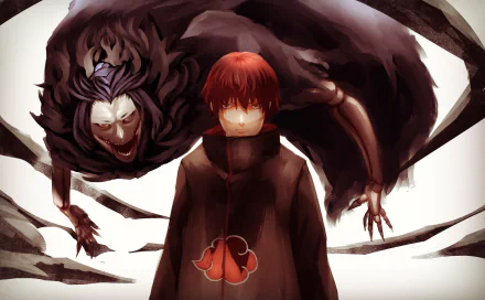 Akatsuki (Naruto) Anime Naruto HD Desktop Wallpaper | Background Image