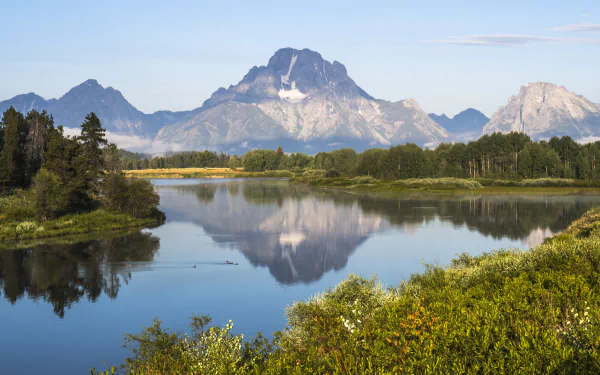 HD desktop wallpaper of a serene lake reflecting the majestic peaks of Grand Teton National Park, surrounded by lush greenery and clear blue skies.