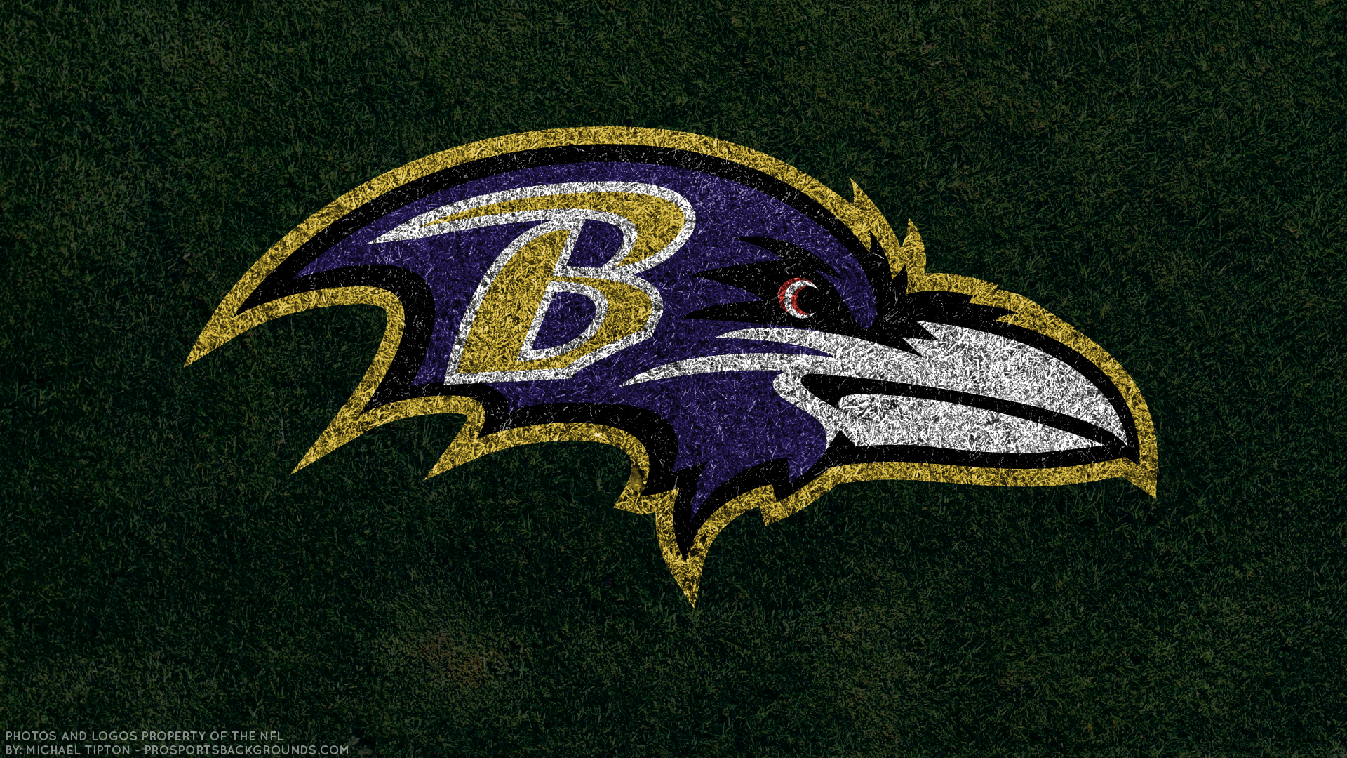 Ravens iPhone wallpaper  Ravens football, Baltimore ravens, Baltimore  ravens football