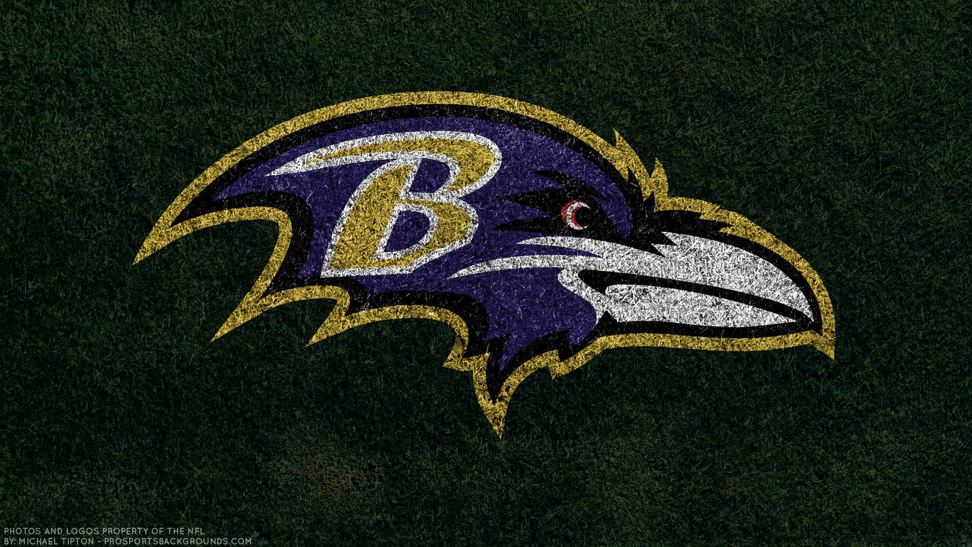 Sports Baltimore Ravens HD Wallpaper by Michael Tipton