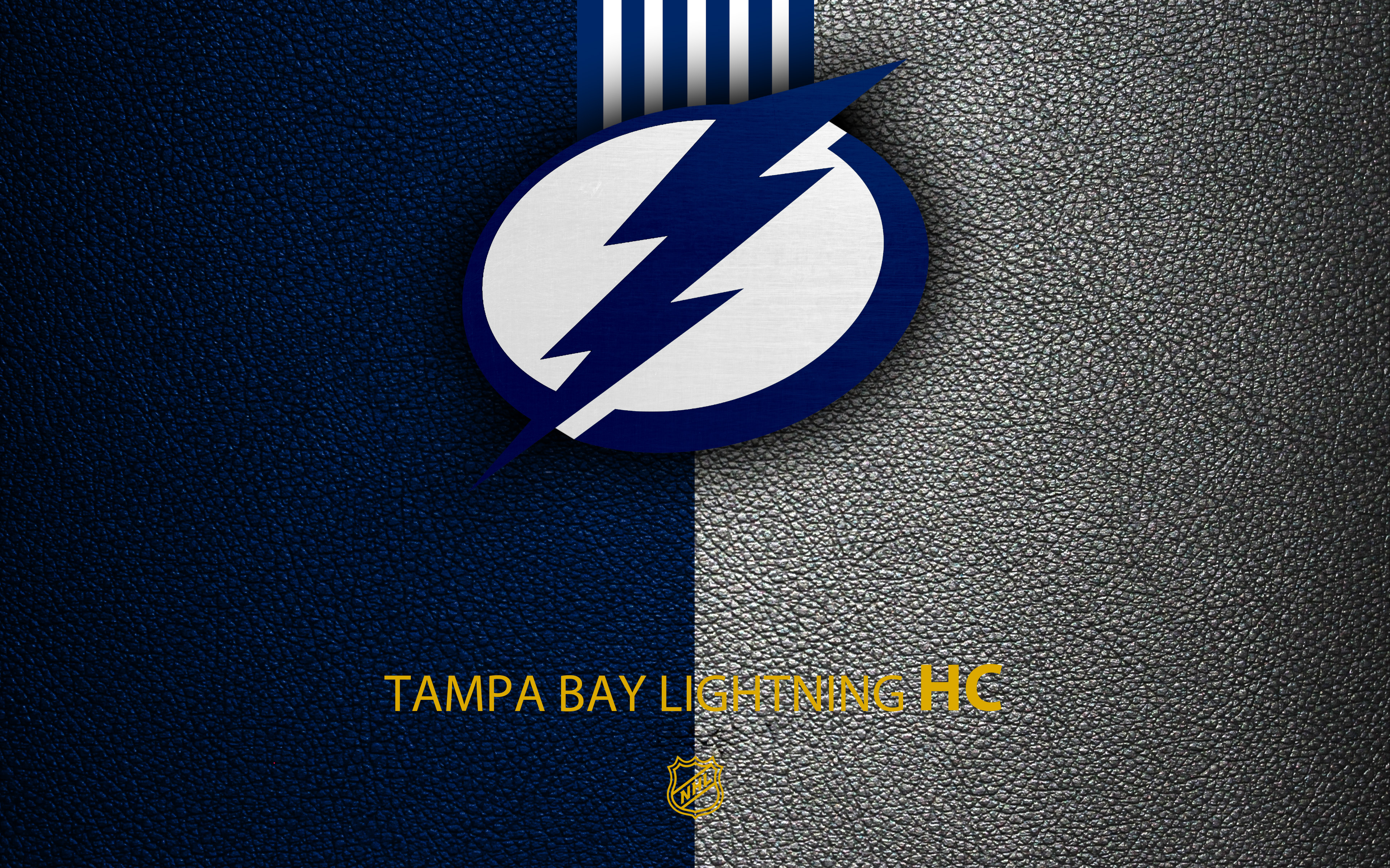 Free Tampa Bay Lightning phone backgrounds, social banners