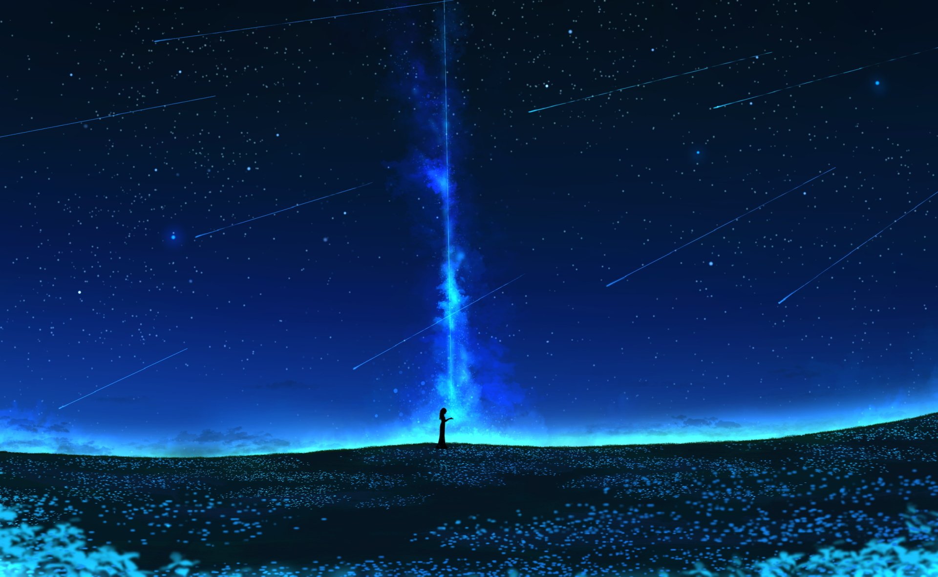 Anime-style HD desktop wallpaper featuring a silhouette standing in a flower field under a starry night sky with shooting stars and a bright vertical celestial light.