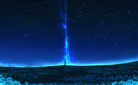 Anime-style HD desktop wallpaper featuring a silhouette standing in a flower field under a starry night sky with shooting stars and a bright vertical celestial light.