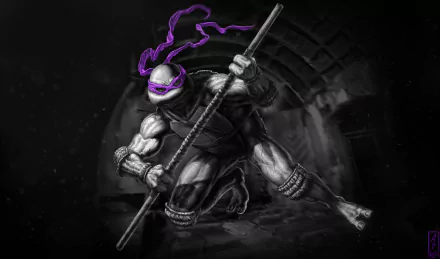 Donatello (TMNT) Comic Teenage Mutant Ninja Turtles HD Desktop Wallpaper | Background Image