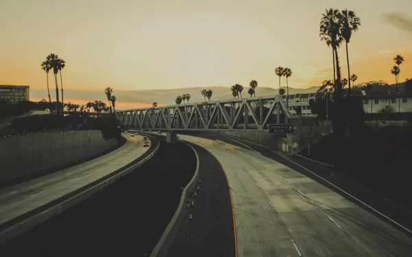 California bridge freeway palm tree man made road HD Desktop Wallpaper | Background Image