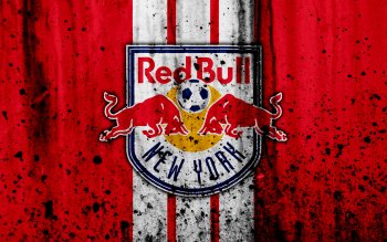 New York Red Bulls Pfp