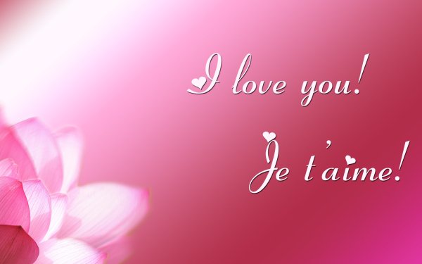 Holiday Valentine's Day Colors Gradient Pink Typography HD Wallpaper | Background Image